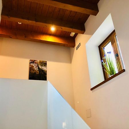 Apartamentos Zabalarena Basoa Orbaiceta Buitenkant foto